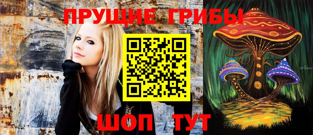 Галлюциногенные грибы ЛСД  Вход с VPN  Псилоцибиновые грибы Psilocybe  где можно купить наркотик  Реутов 